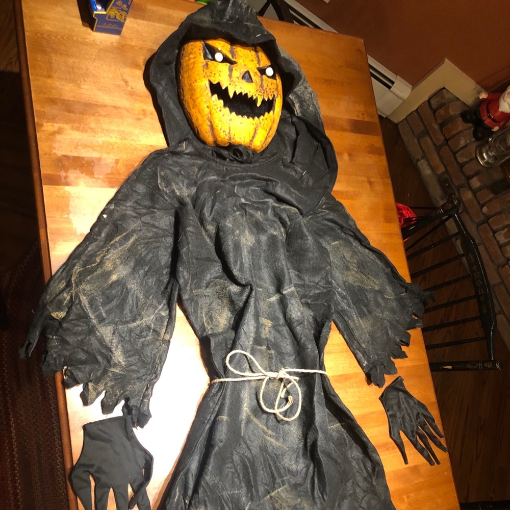 Pumpkin-Scarecrow Adult Costume M/F